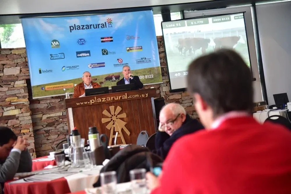 El remate de Plazarural se transmite en vivo por televisión e internet