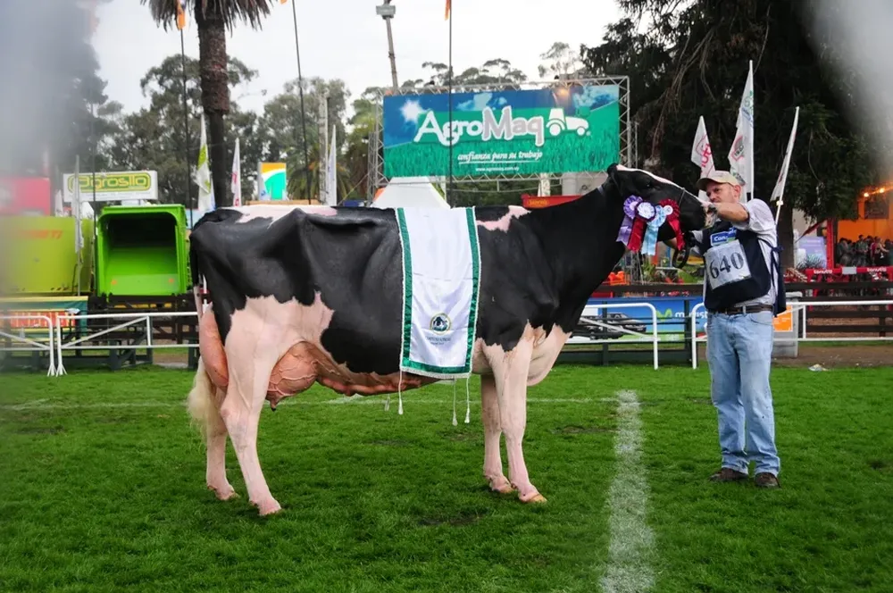 La Gran Campeona Suprema Holando en la Rural