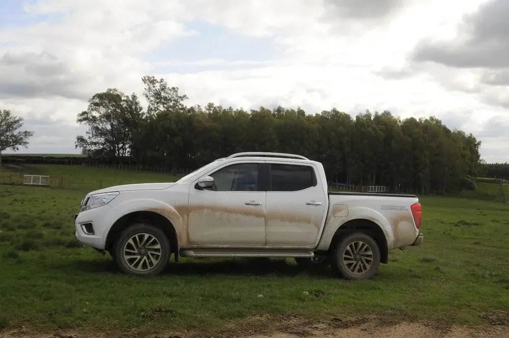 Hubo más arrendamientos de campos.