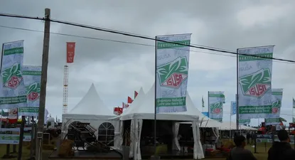 Isusa enviará entre 140 y 160 trabajadores al seguro de paro en mayo