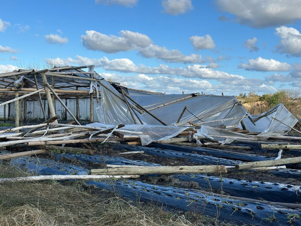 Temporal en Canelones con graves daños en sistemas productivos de granjeros.