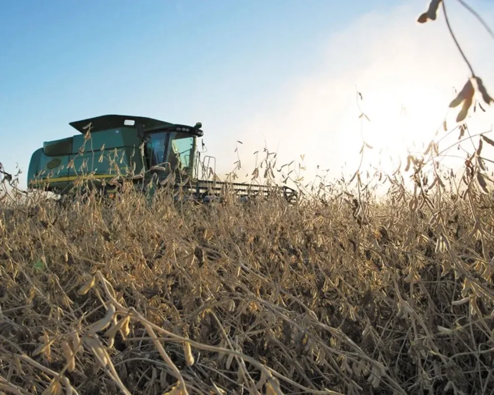 La agricultura al ritmo del cultivo de la soja enfrenta desafíos