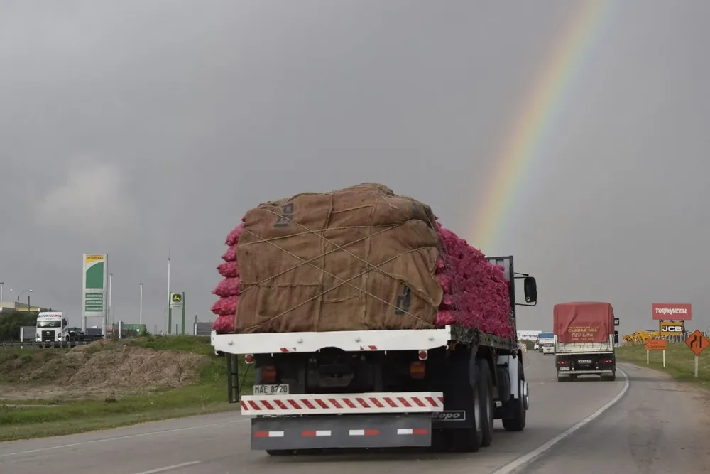 Hay dos ciclos productivos cada año.