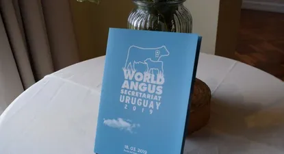 El Observador | 0027936596.webp