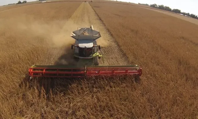 Soja: avanza la cosecha, a todo ritmo, aprovechando días sin lluvias.