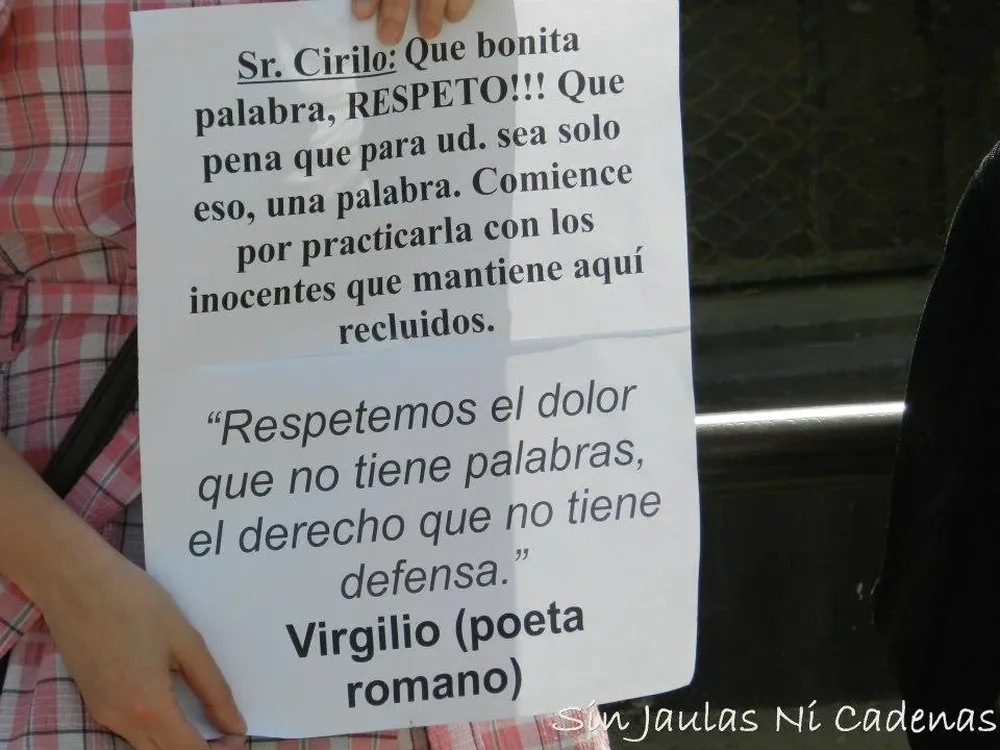 Luego de desencadenaron ellos mismos y salieron pacíficamente del predio, dice el Facebook sin Jaulas ni Cadenas