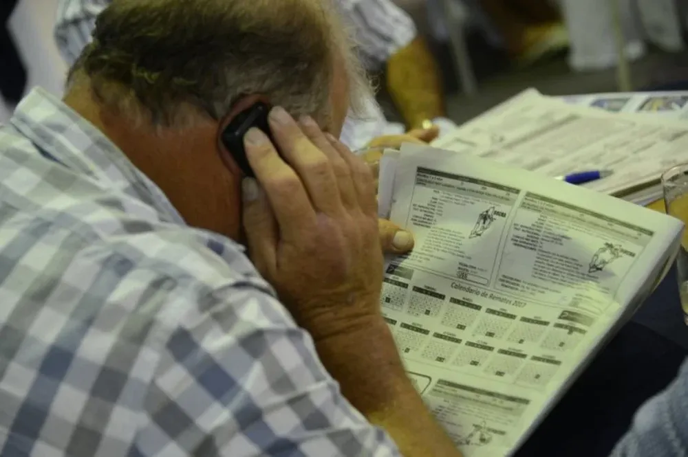 Se podrá ofertar a distancia llamando al teléfono 2336 5947