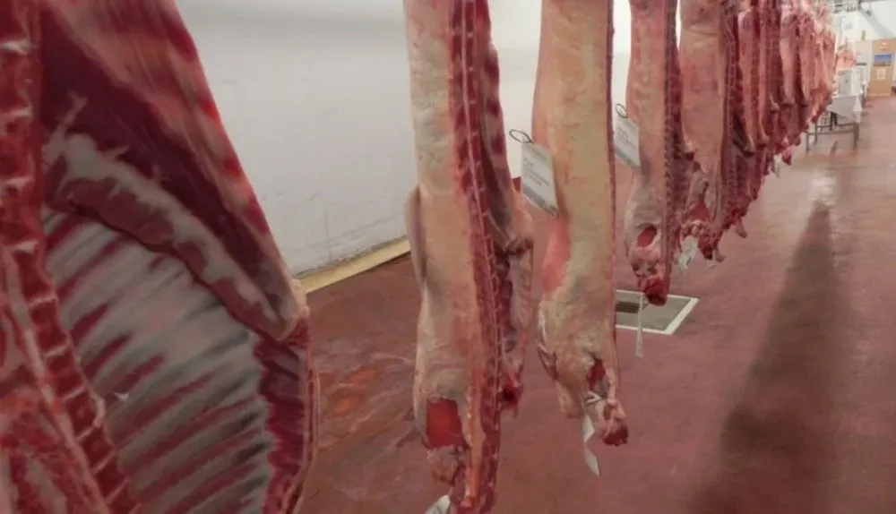 La oferta de ovinos para faena es escasa