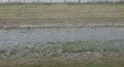 Inundaciones: varios casos en predios productivos en Rocha y Treinta y Tres.