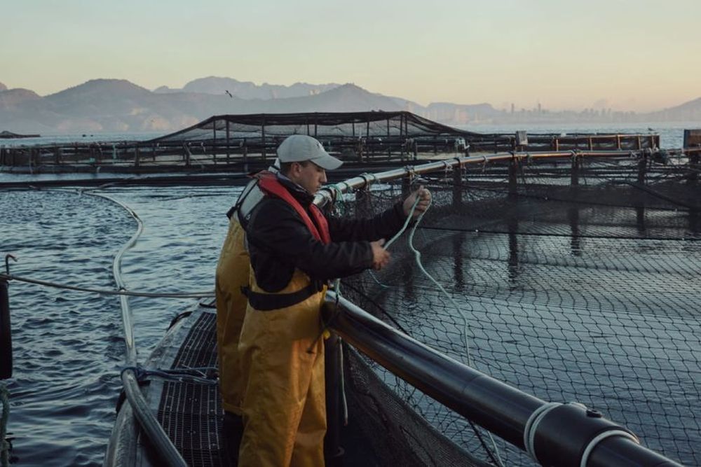 apromarviverotrabajando_870px