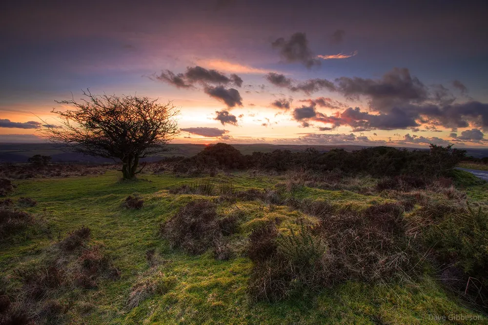 El páramo de Exmoor, en Devonshire