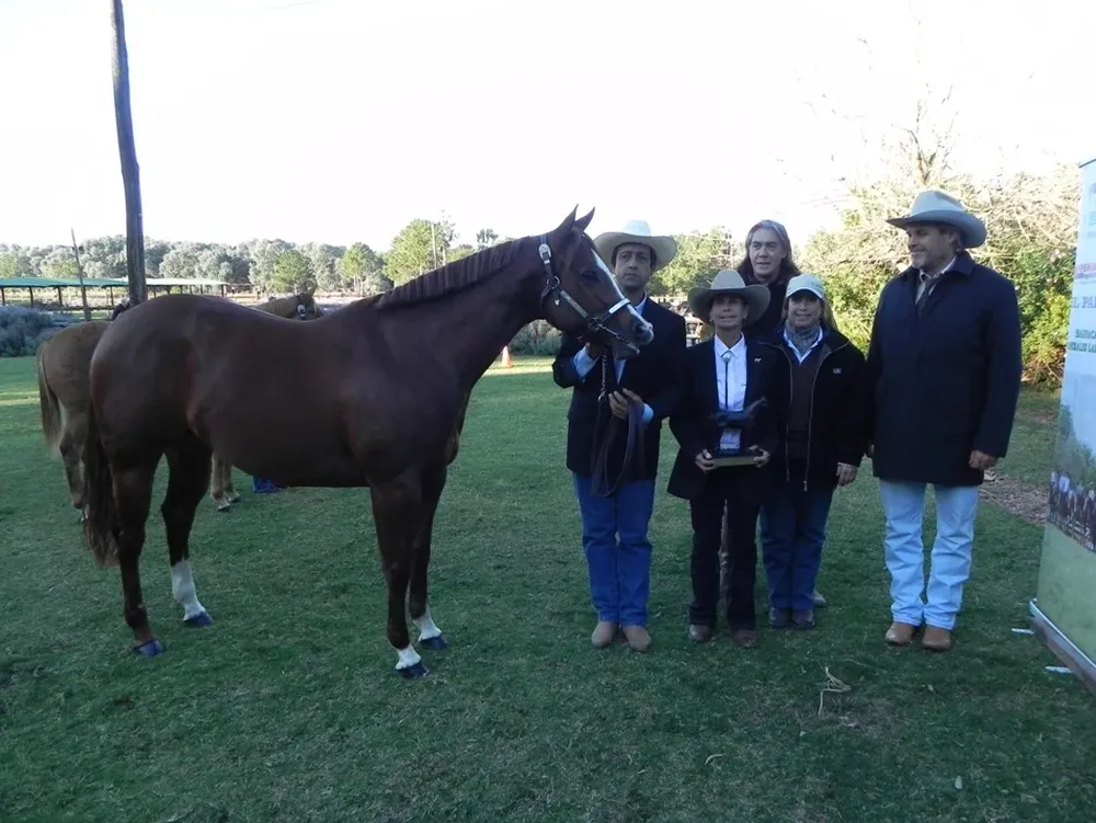 La Gran Campeona, expuesta por el haras El Mayoral