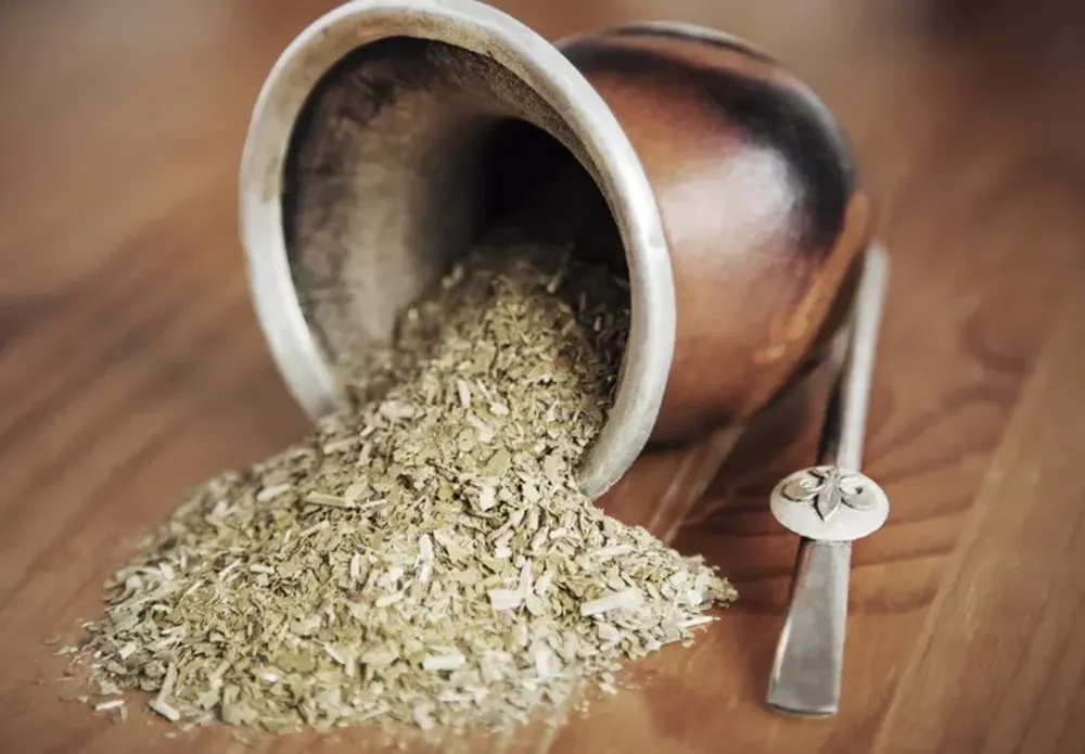 Yerba mate