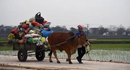 El Observador | 1614991352284.webp