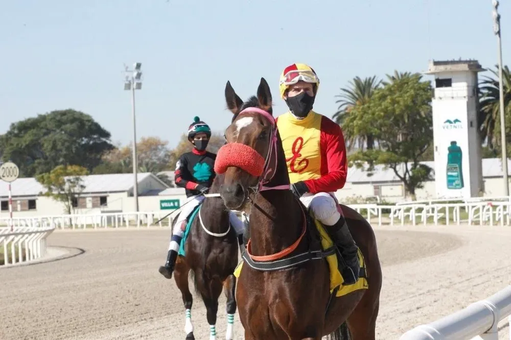 Los jockey ingresaron con tapabocas