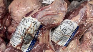 Carnes vacunas exportadas por Brasil.
