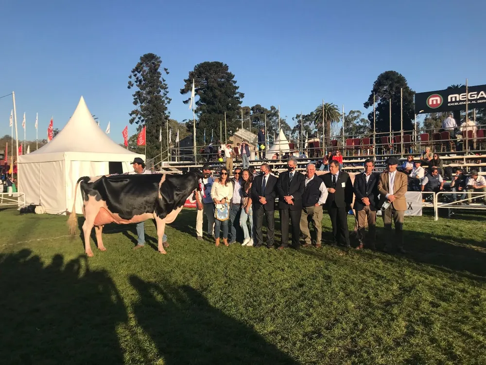La Gran Campeona PI del Holando.
