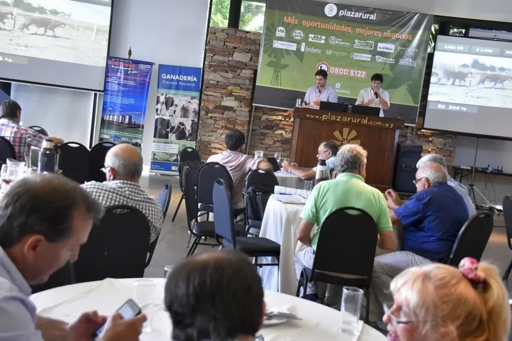 Plazarural continuará con su remate N° 190 desde la mañana de este jueves 8.
