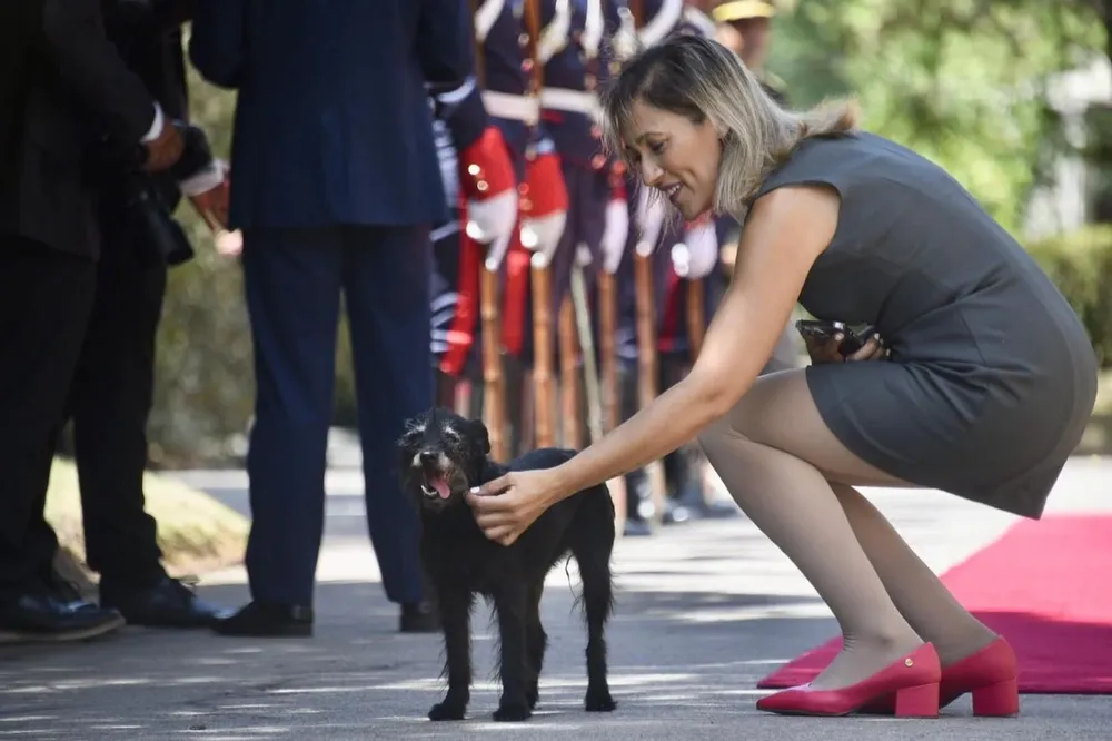 Guapa, la perra de Lacalle Pou, en la bienvenida de Lula