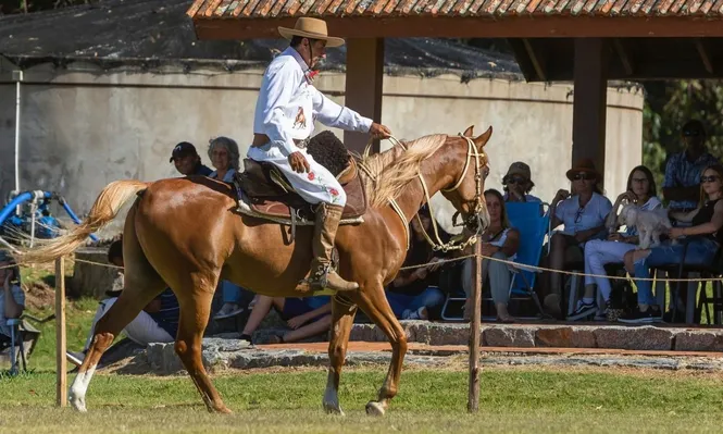 Las actividades se realizaron en Maldonado.