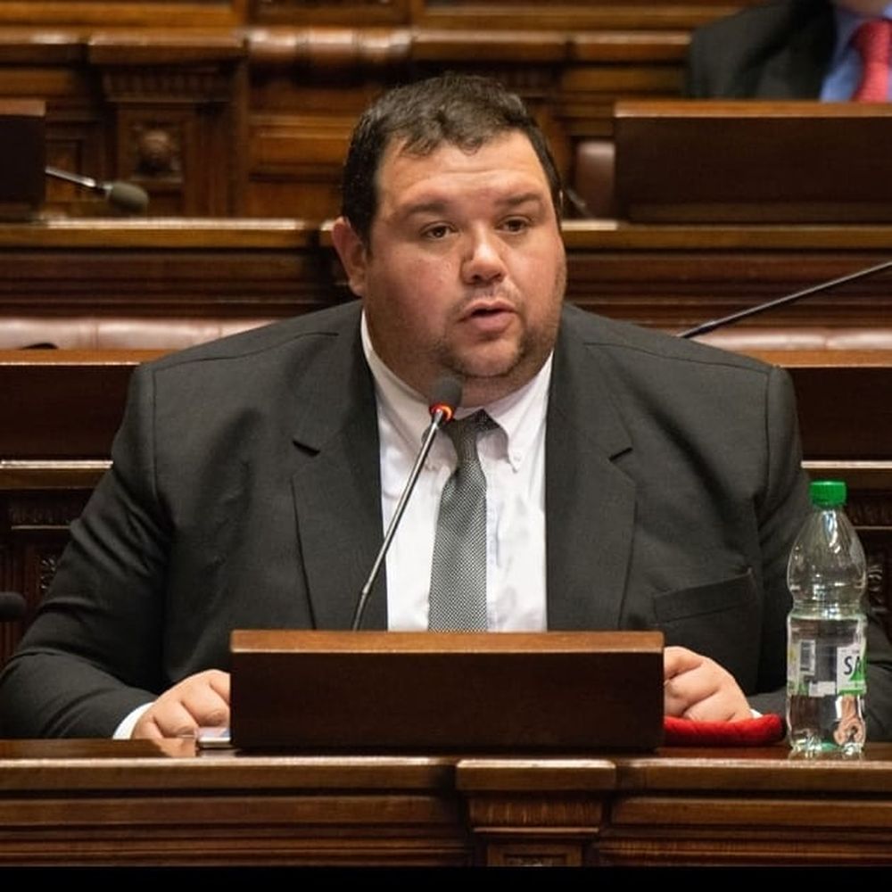 Walter Cervini&nbsp;