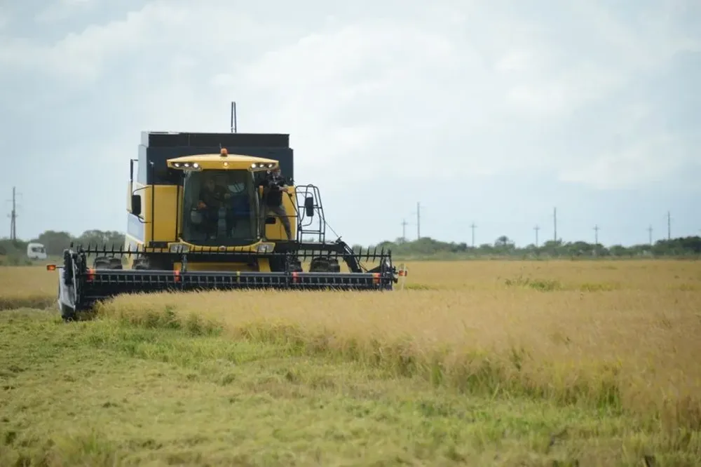 El precio acordado es un poco mejor al alcanzado en la zafra pasada