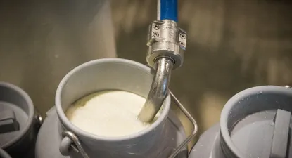Industrialización de lácteos.