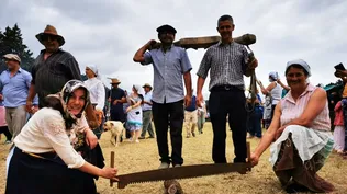 La fiesta se hará en San Jacinto.