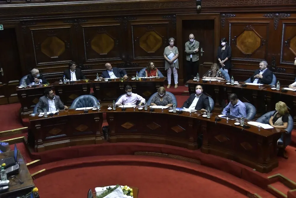 El Senado votó la declaración por unanimidad