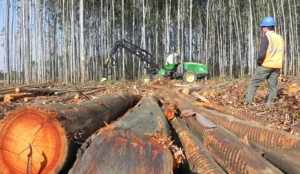 ¿Dónde invierten las AFAP los ahorros de los trabajadores?