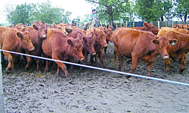 Las ventajas de las mediciones