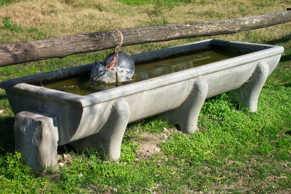 MGAP: se sostiene el monitoreo del déficit hídrico.