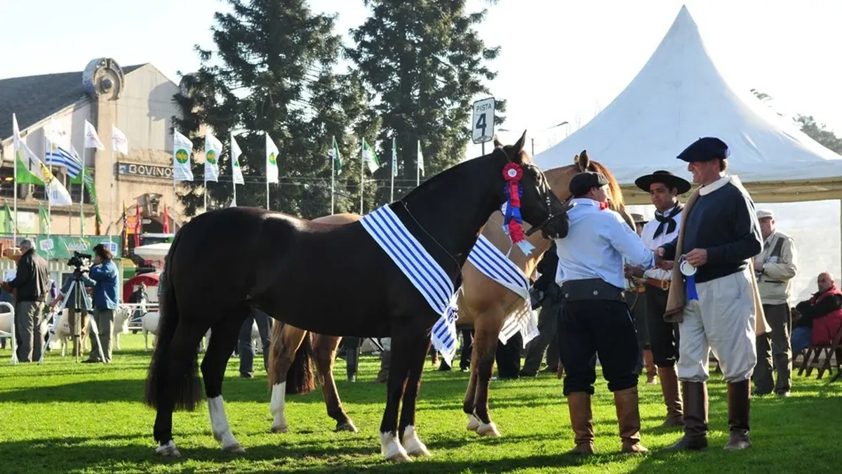 Cabaña Septiembre fue patrona en la pista de los equinos Criollos