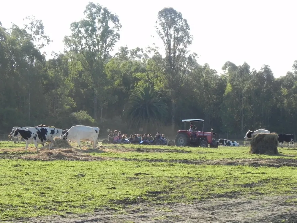 Hubo una práctica de presupuestación de pasto
