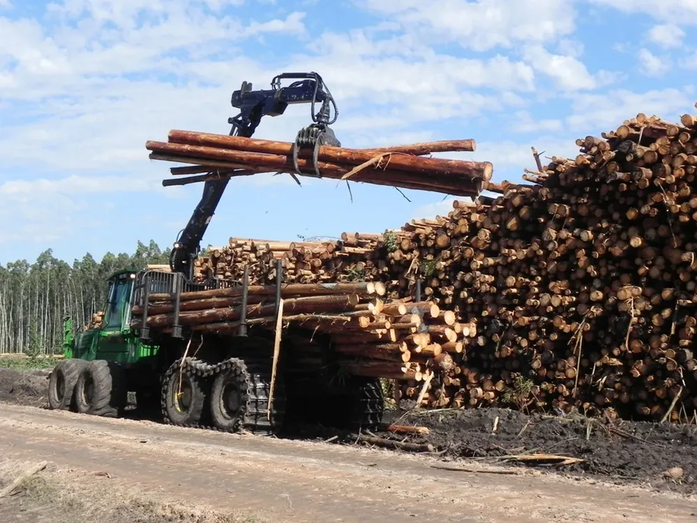 Productores forestales: integrantes de uno de los principales motores de la economía en Uruguay.