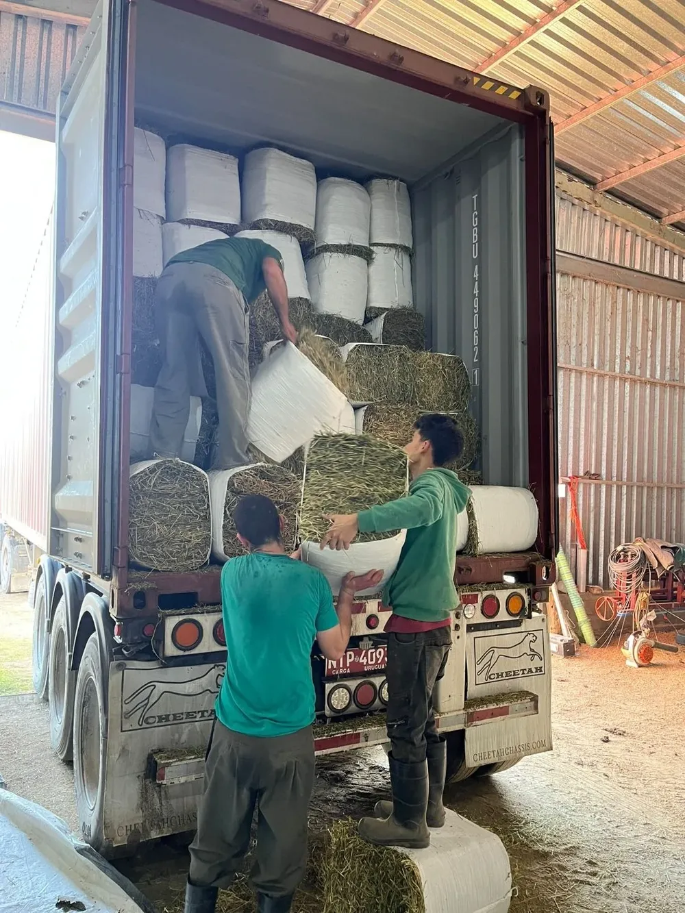 Se exportaron 734 fardos de entre 20 y 25 kilos de alfalfa cada uno.