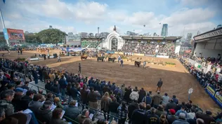 La pista ganadera de la Expo Rural en Palermo.