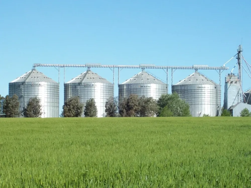 Comenzó el traslado de soja hacia los silos