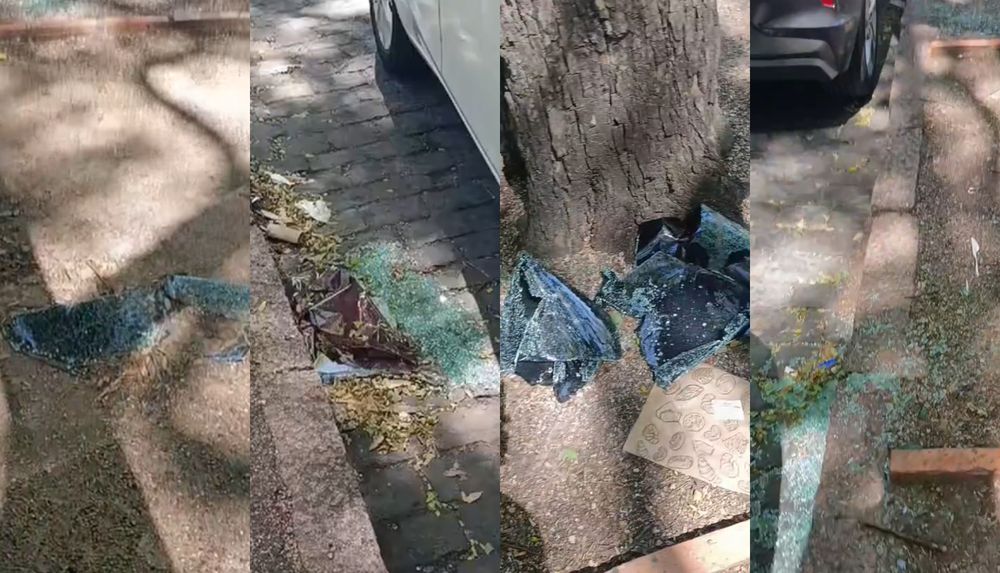 Vidrios de auto en Parque Batlle