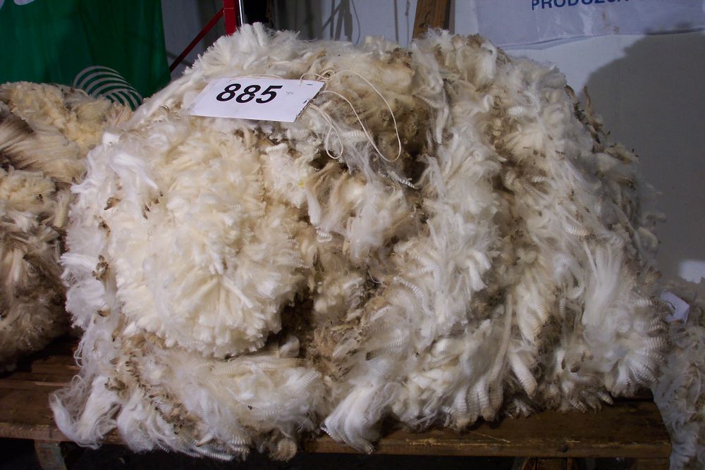 Lana: mejora el panorama y lo celebra la ovinocultura uruguaya.