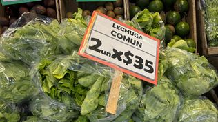 Lechuga: de oferta en locales del MAM.