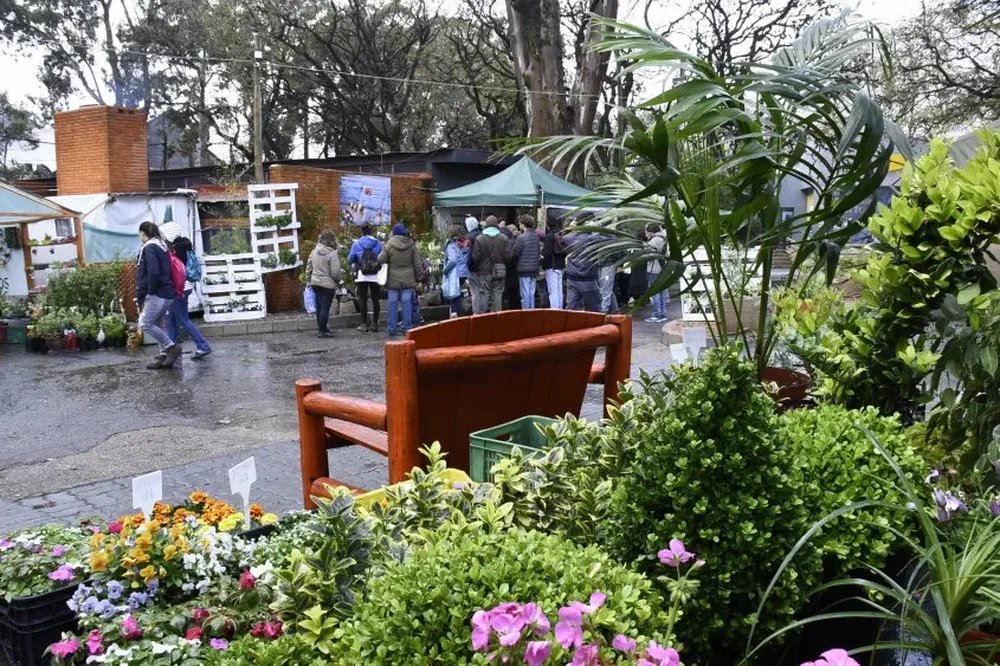 Una idea que llegó para quedarse, los viveros en la Expo Prado.