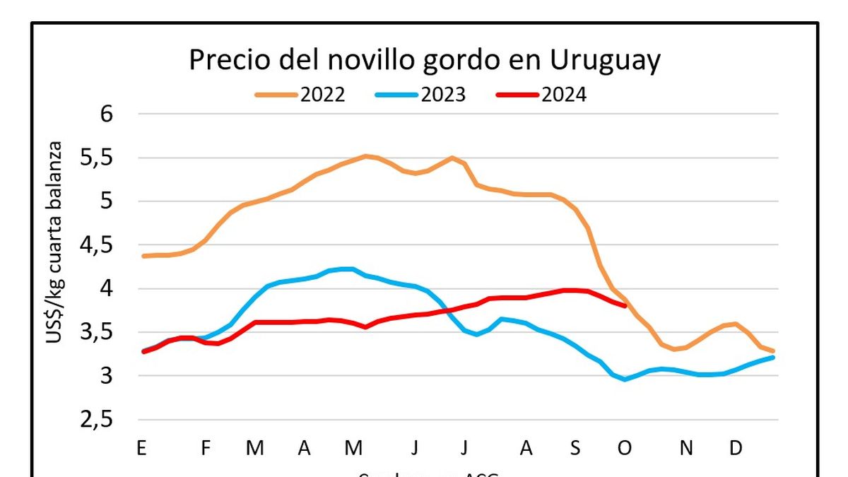 Mercado ganadero: frigoríficos presionan y siguen bajando los precios de los vacunos gordos