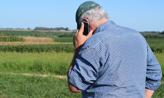 Tierras para uso agropecuario: menos negocios, cayó el área, mejoró el valor por hectárea.