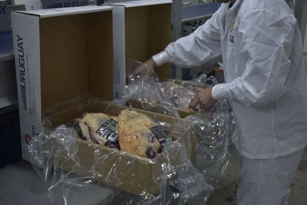 Carne vacuna de exportación.