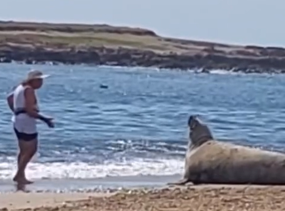 Captura de pantalla 2025-12-14 153905