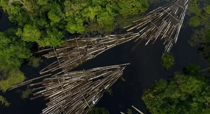 En 2019 y 2020, la deforestación amazónica fue de 10.700 km2 y 9.800 km2 respectivamente.