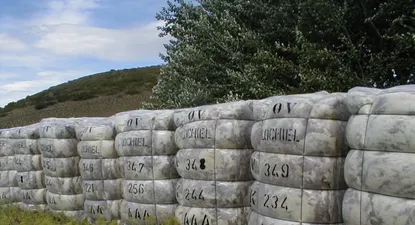 La fibra se cotiza al alza en los mercados externos