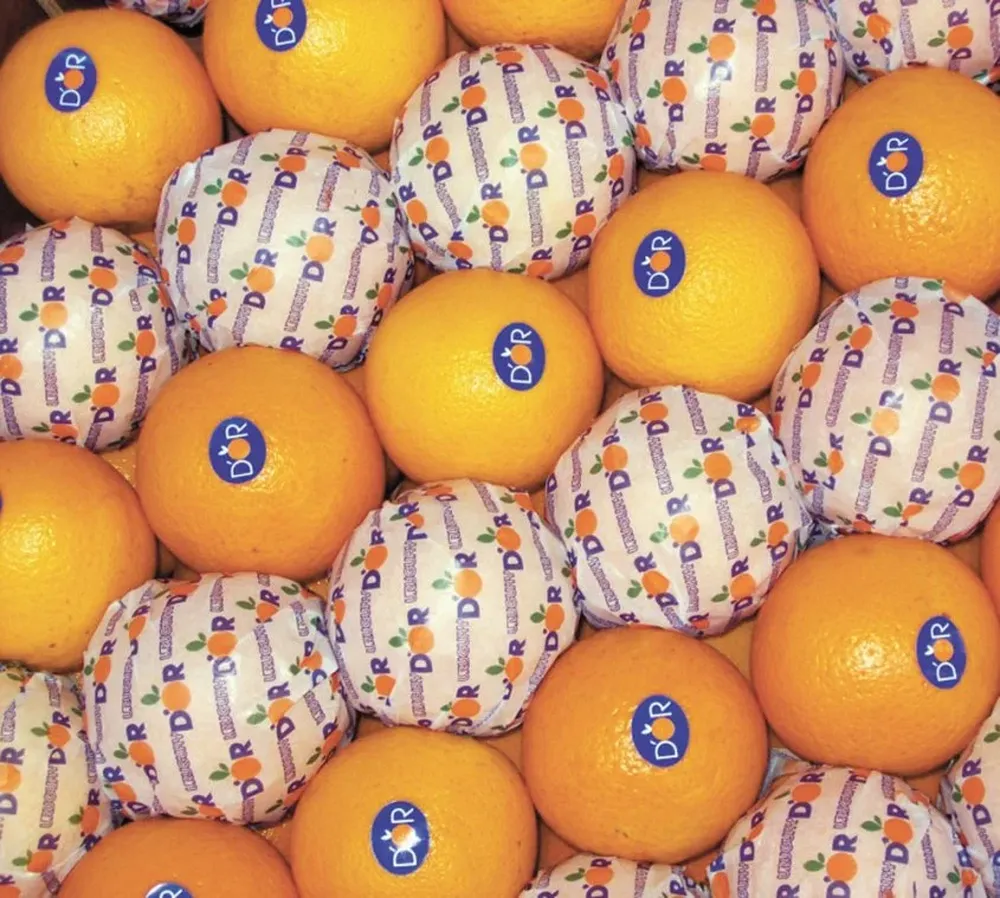 Hubo mayor demanda por naranjas en 2016