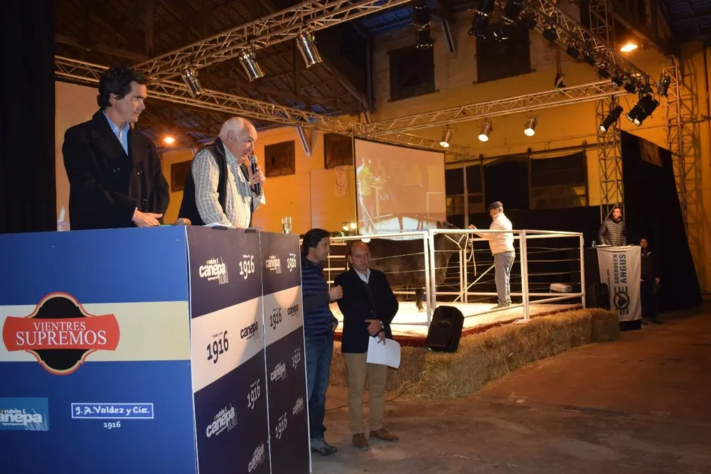 Expectativa: se ofertarán 35 lotes Angus más cinco Polled Hereford.